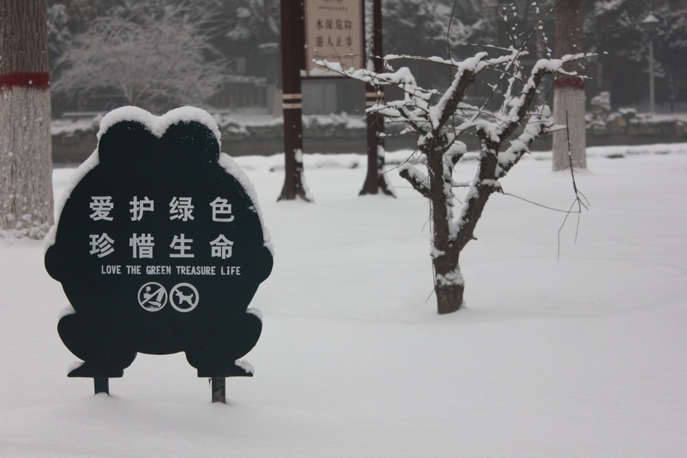 随拍