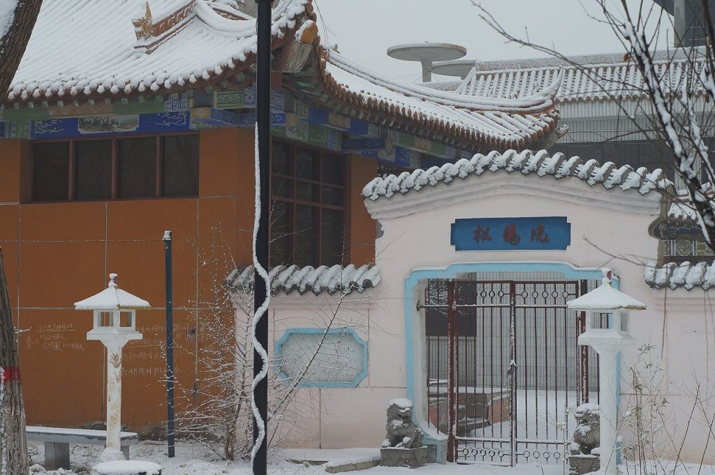 小区雪景
