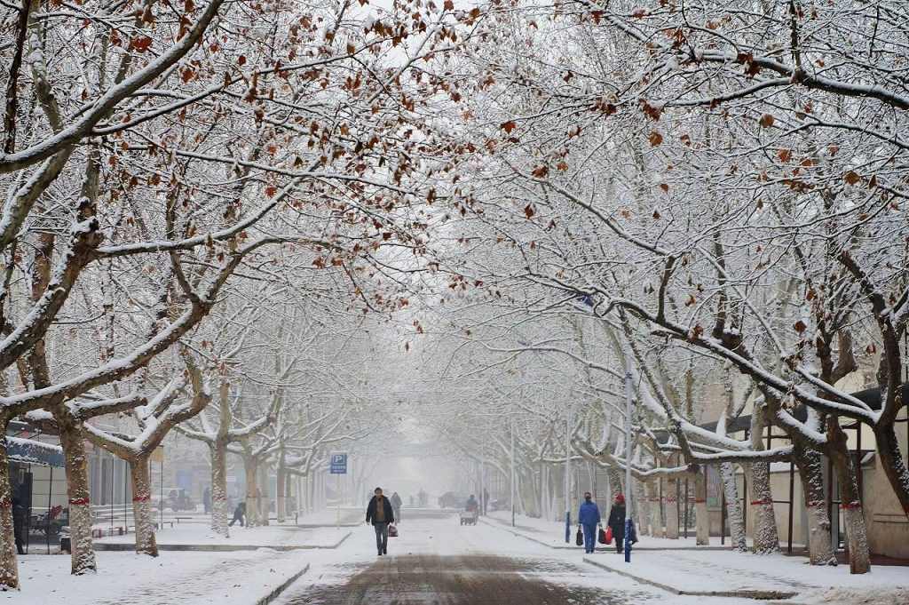 小区雪景