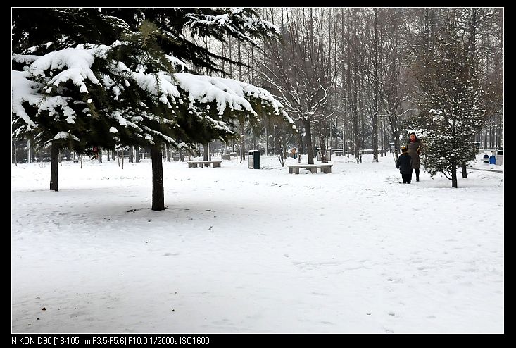 大寒——雪景小片