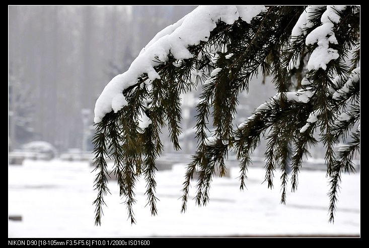 大寒——雪景小片