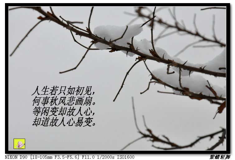 大寒——雪景小片