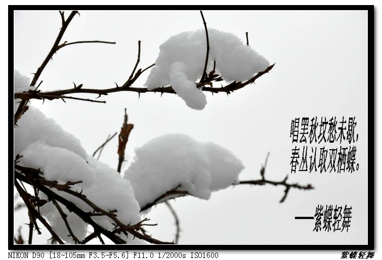大寒——雪景小片