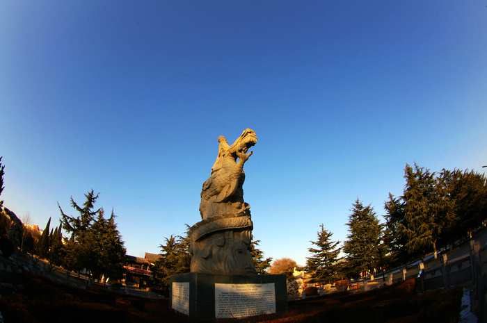 濮阳小景随拍