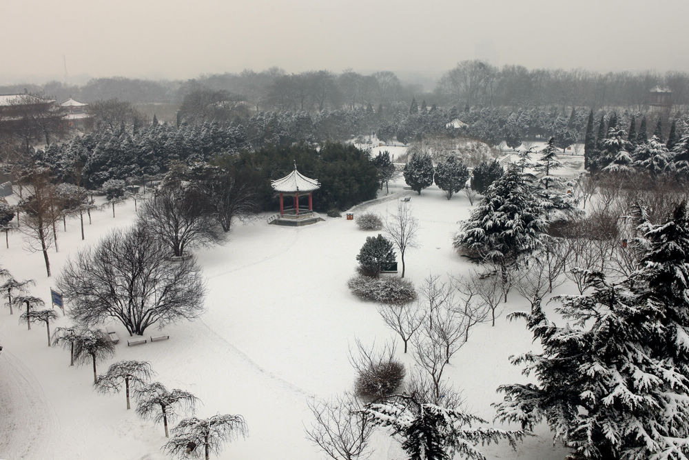 龙城瑞雪