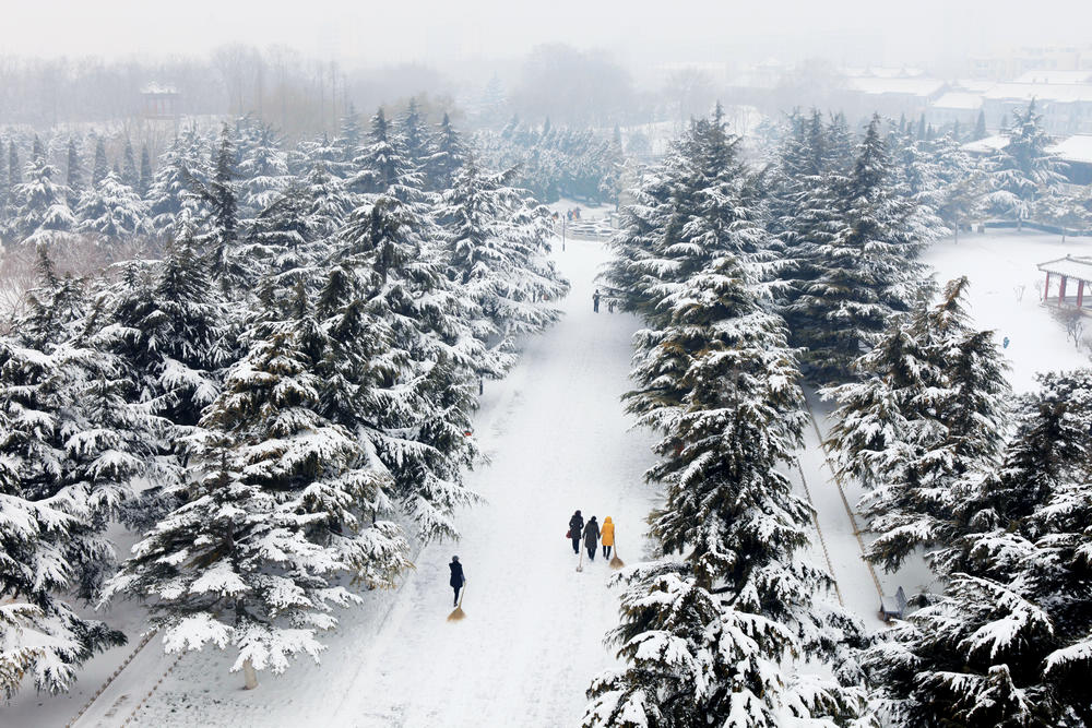 龙城瑞雪