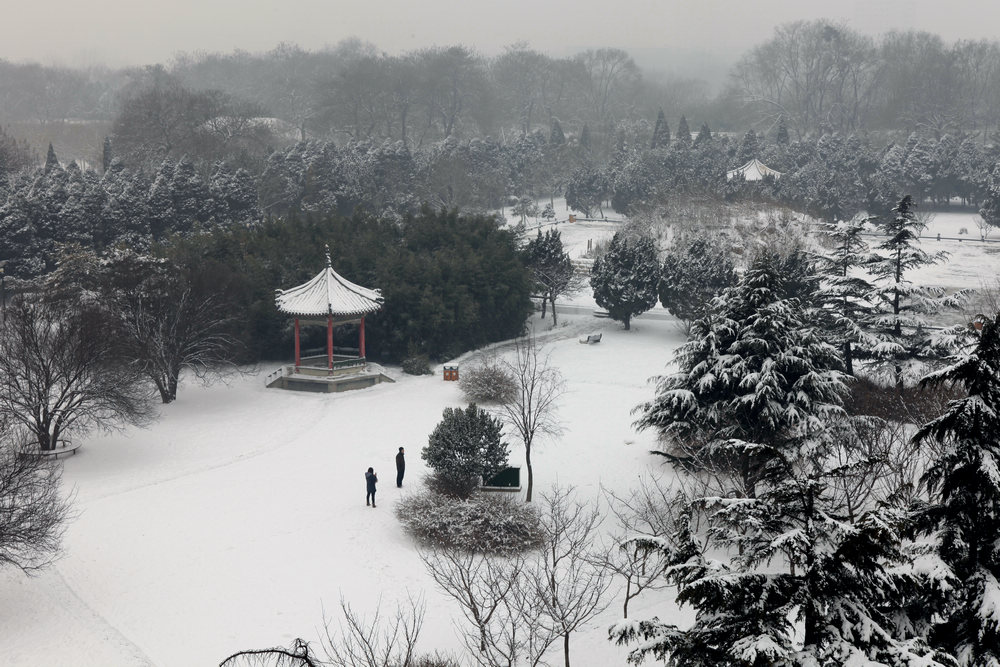 龙城瑞雪