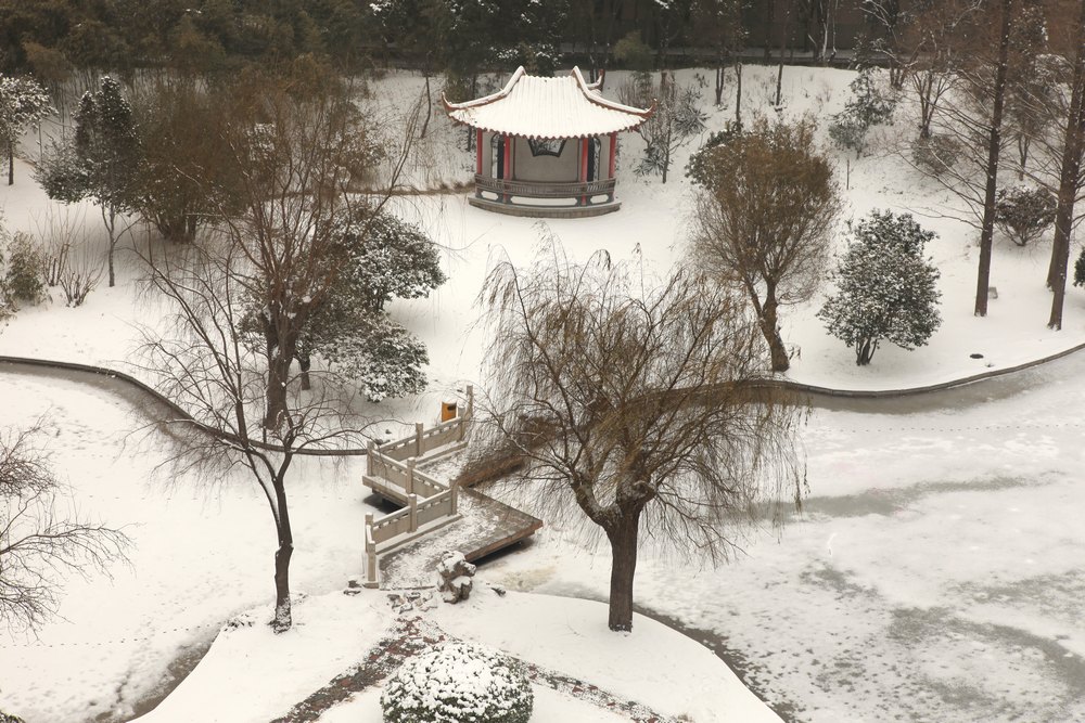 龙城瑞雪