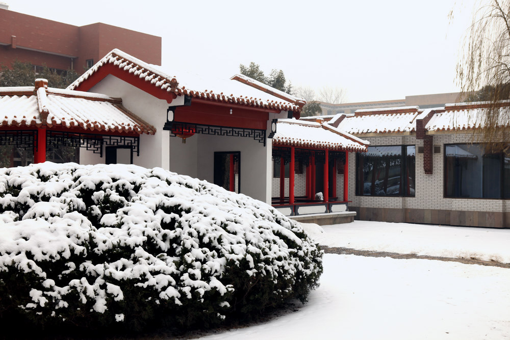 龙城瑞雪