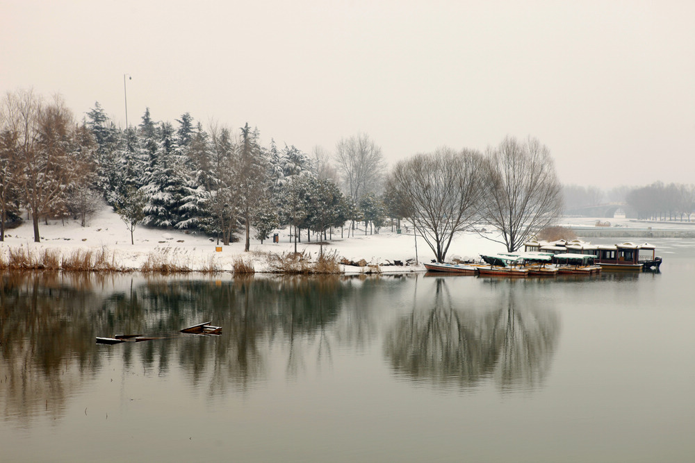 龙城瑞雪