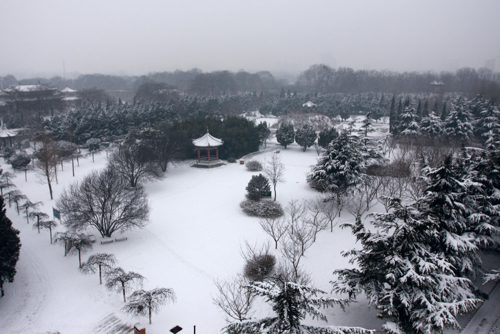 龙城瑞雪