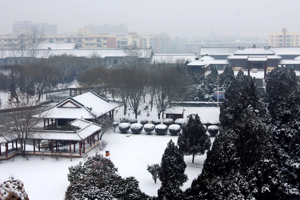 龙城瑞雪