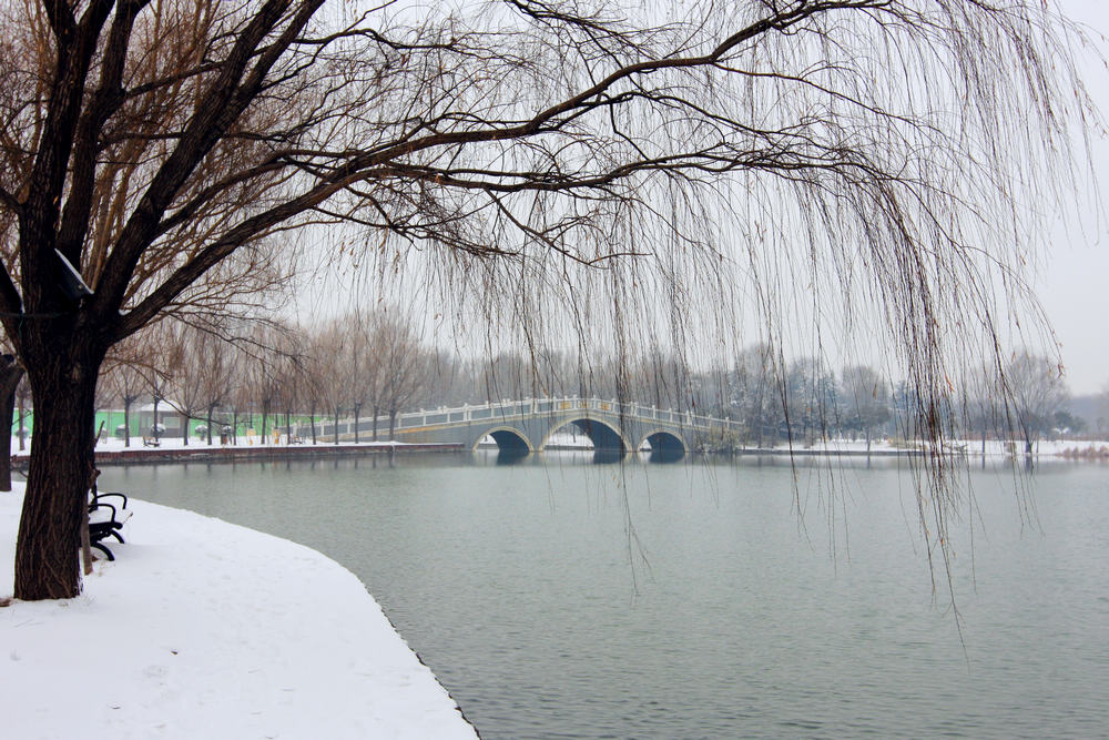 龙城瑞雪