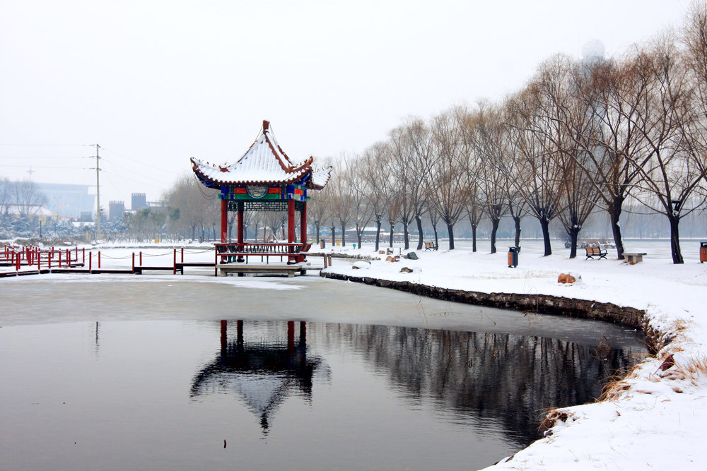 龙城瑞雪