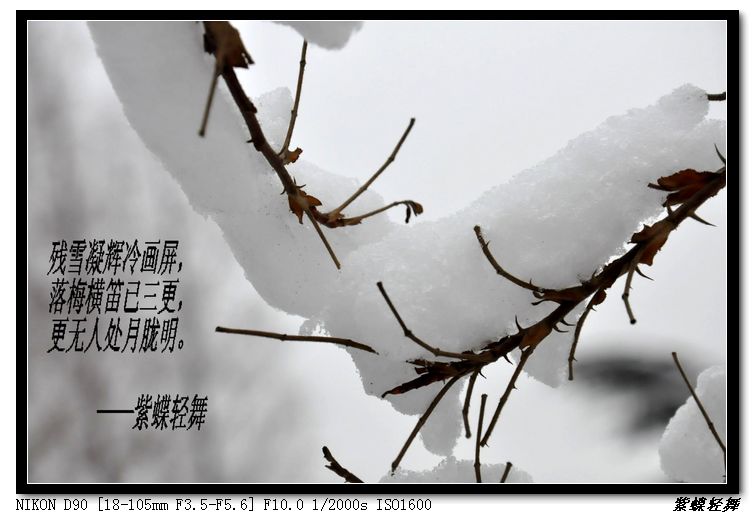 大寒——雪景小片