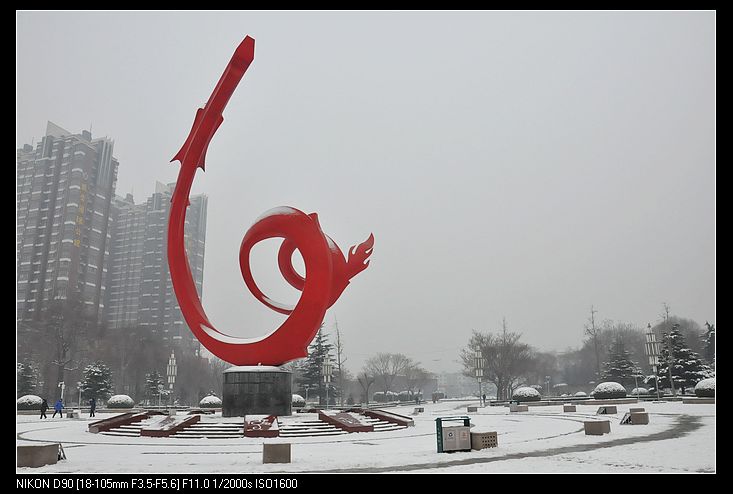 大寒——雪景小片
