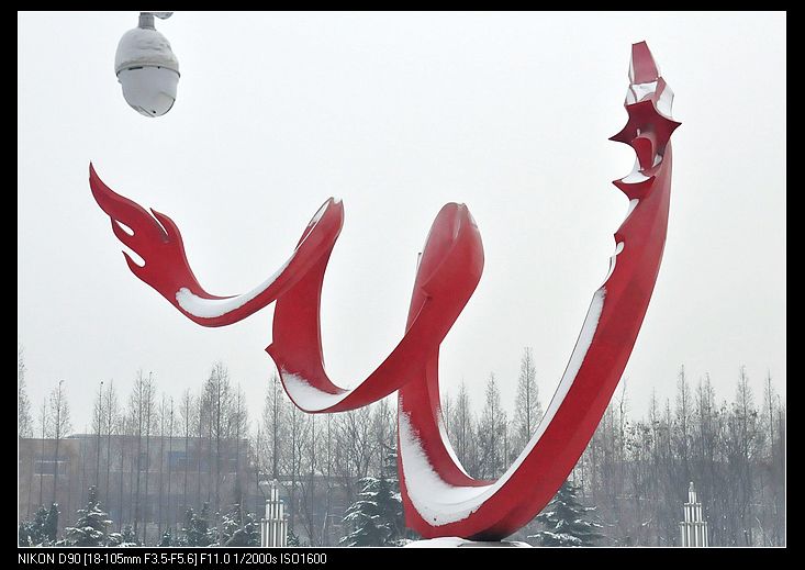 大寒——雪景小片