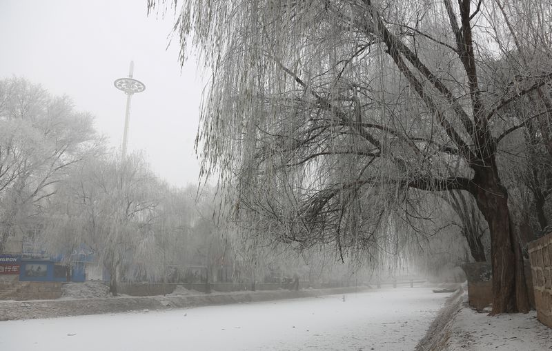 雾霾凝霜似小雪