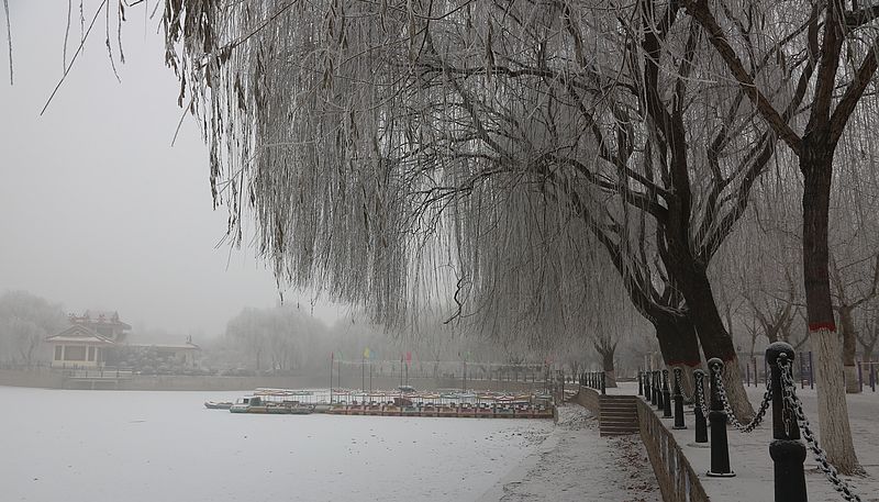 雾霾凝霜似小雪