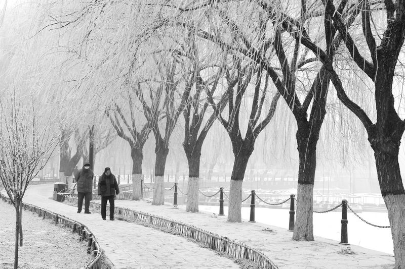 雾霾凝霜似小雪