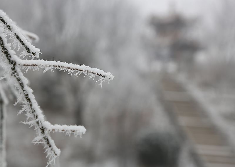 雾霾凝霜似小雪
