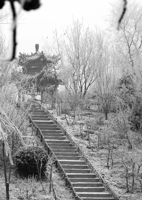 雾霾凝霜似小雪