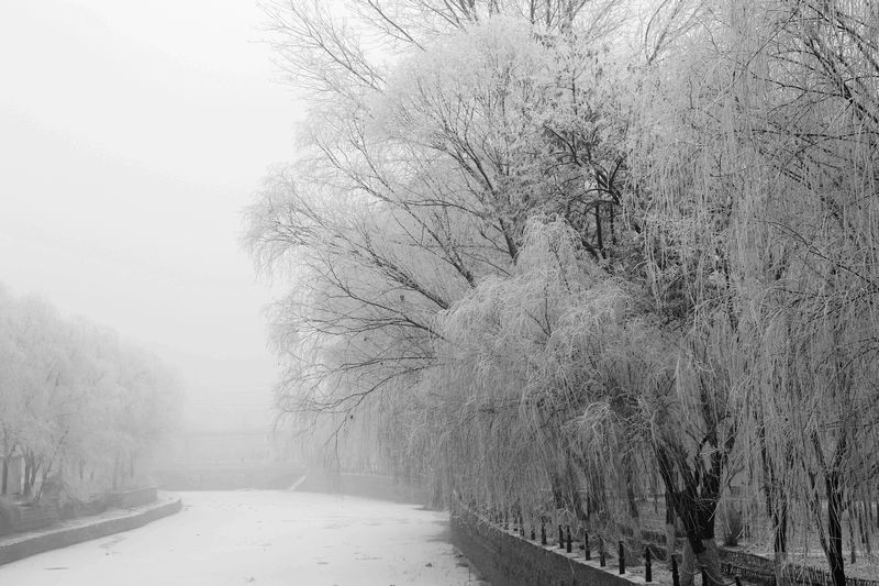 雾霾凝霜似小雪