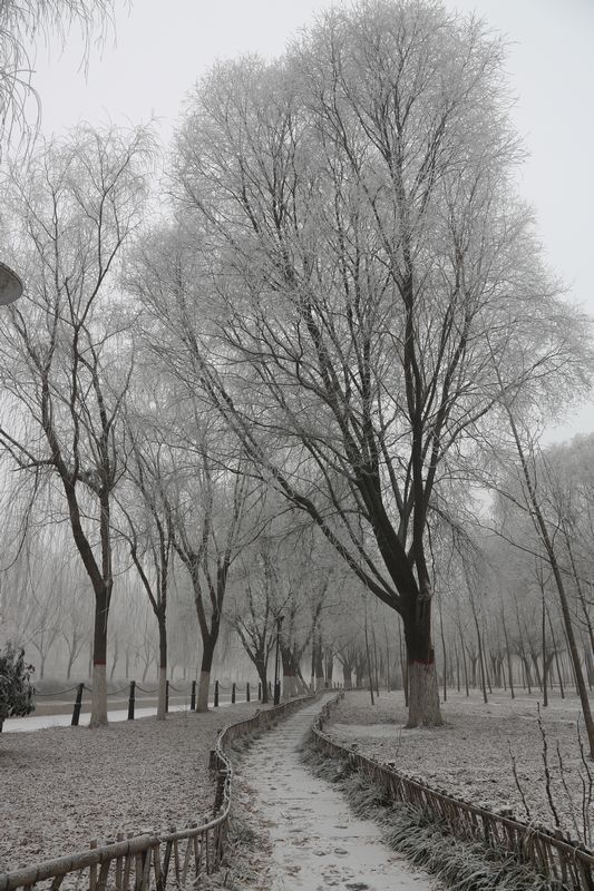 雾霾凝霜似小雪