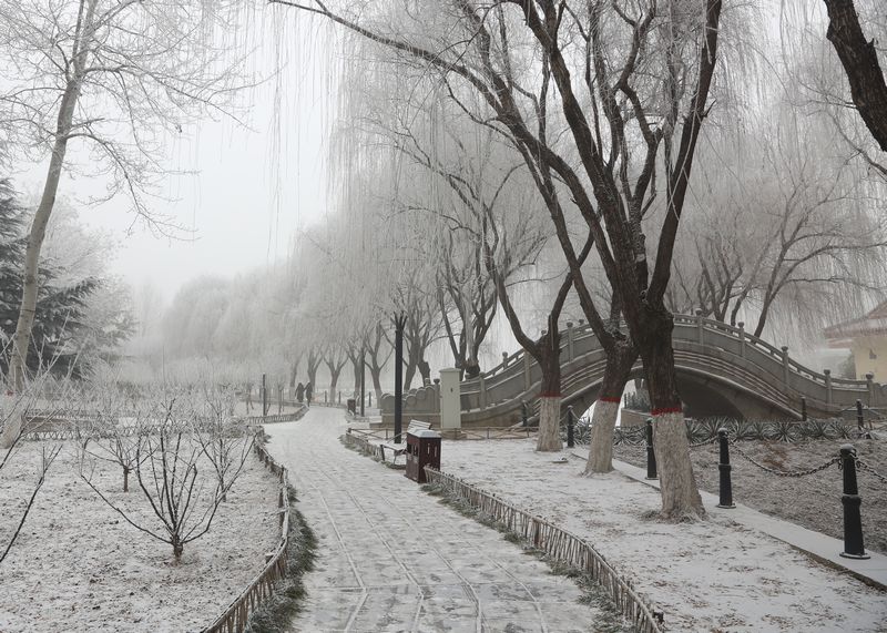 雾霾凝霜似小雪