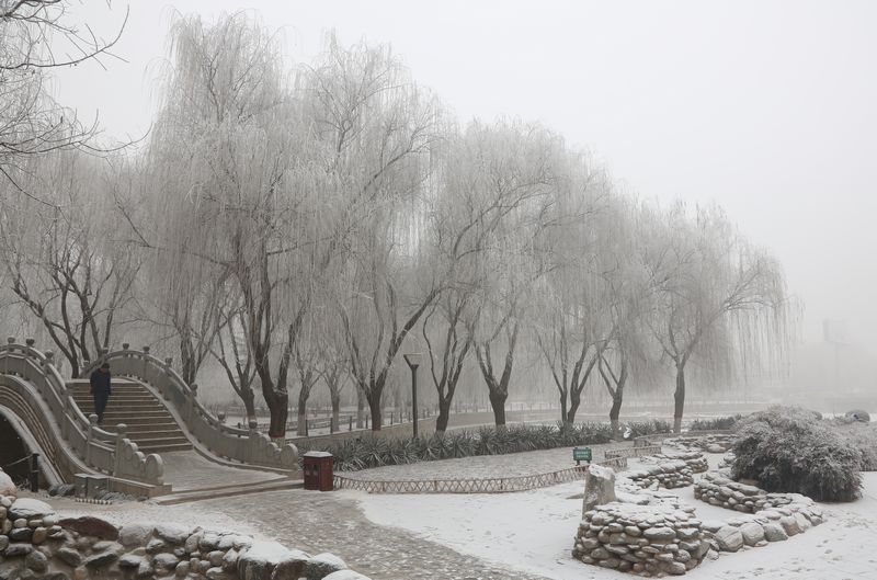 雾霾凝霜似小雪