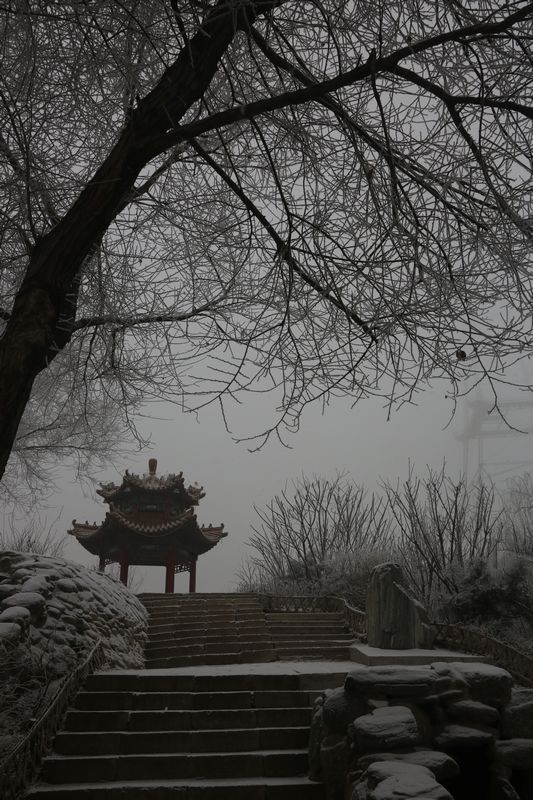 雾霾凝霜似小雪