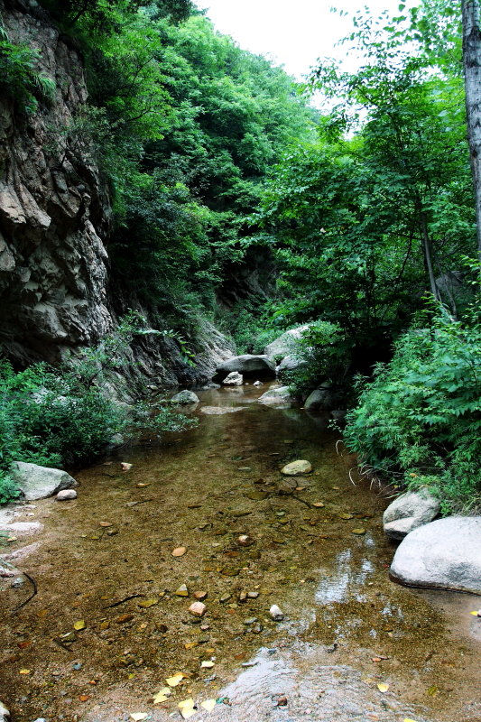 2009年鲁山游记