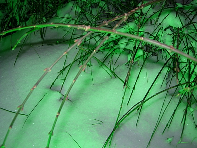 雪