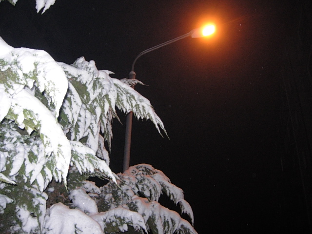 雪