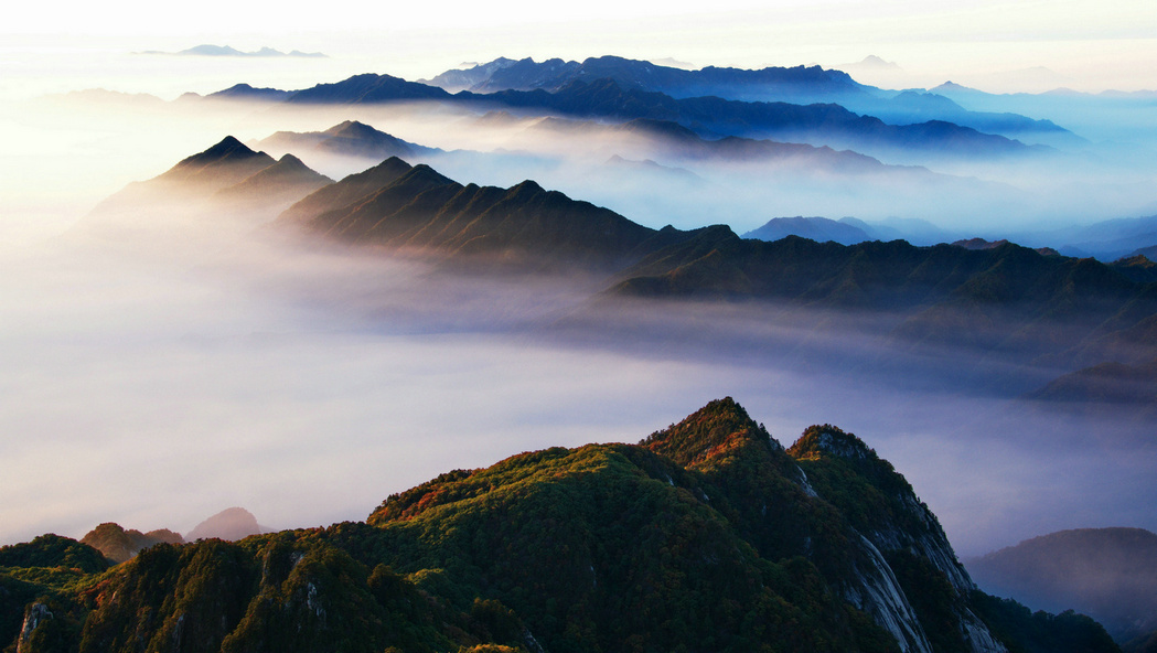 白云山云雾