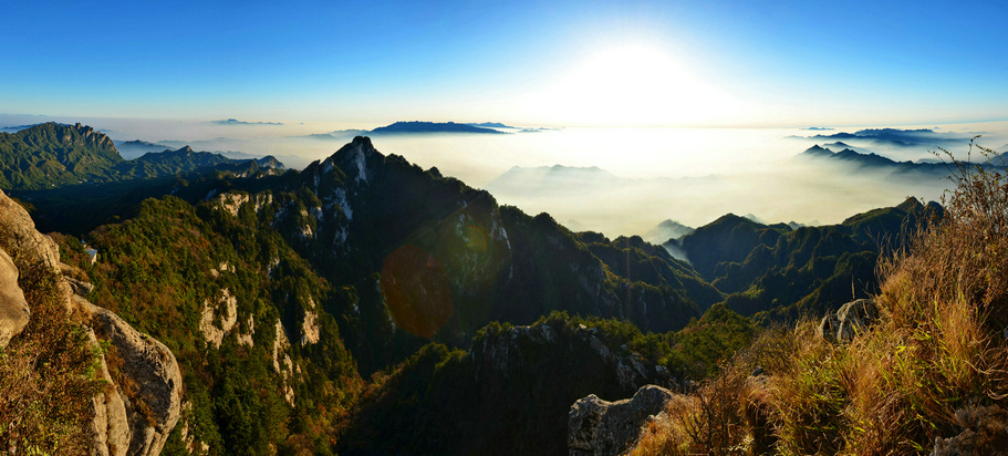 白云山云雾