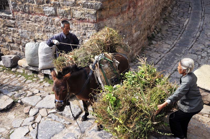 中国民俗村----王金庄