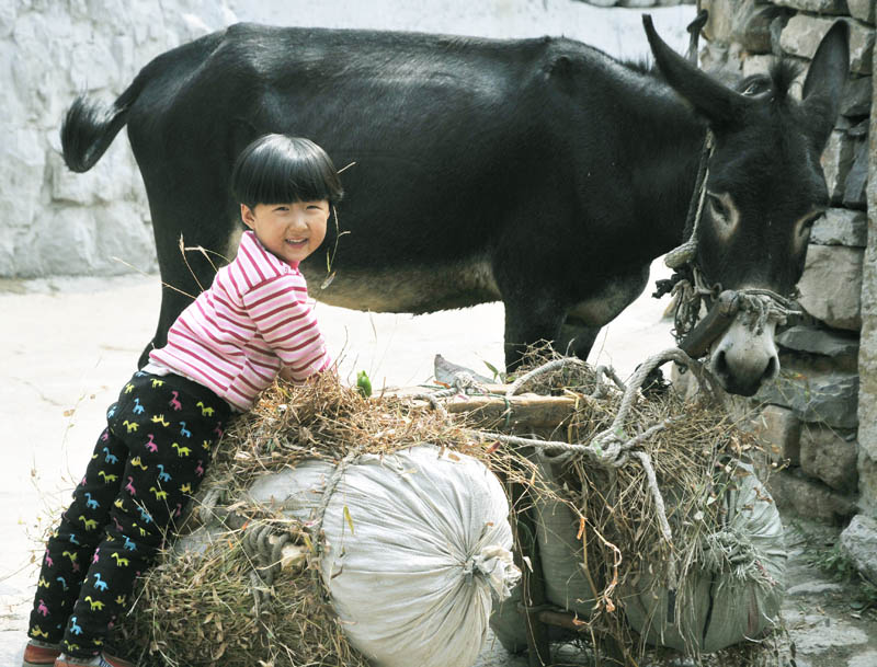 中国民俗村----王金庄