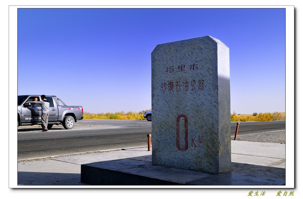 大美新疆——塔河胡杨