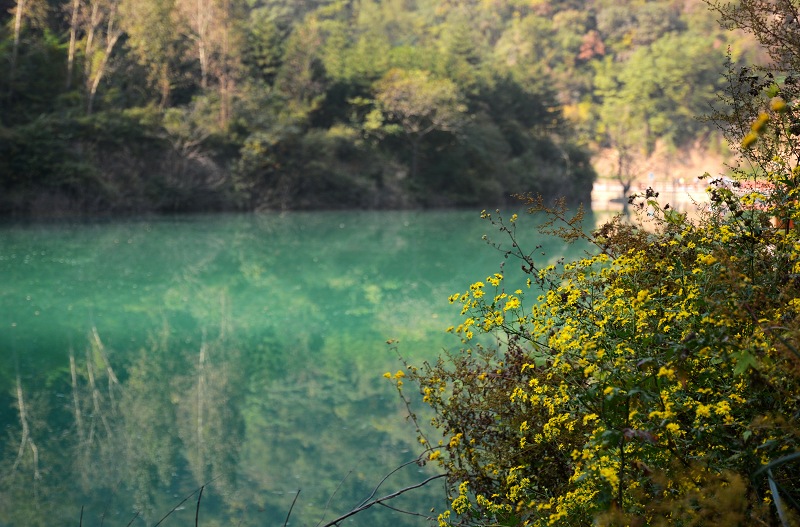 秋染通天峡