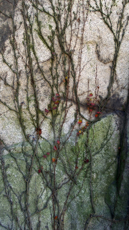 岩画