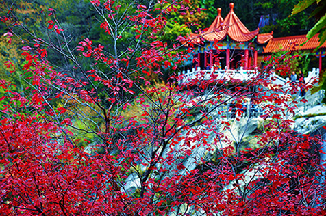 木札岭风光（三）——九撞沟红叶