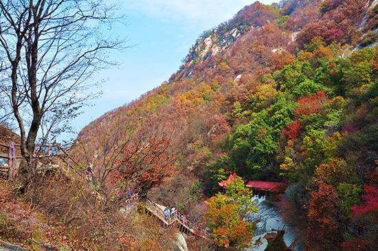 木札岭风光（三）——九撞沟红叶