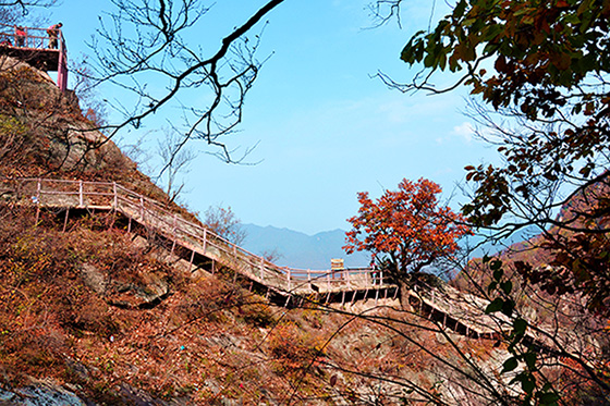 木札岭风光（三）——九撞沟红叶