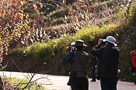 走进秋天的小山村