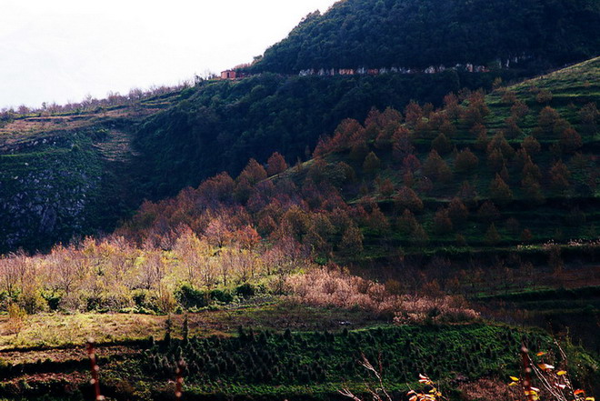走进秋天的小山村