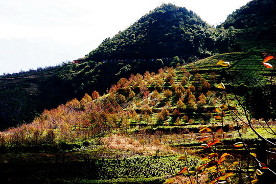 走进秋天的小山村