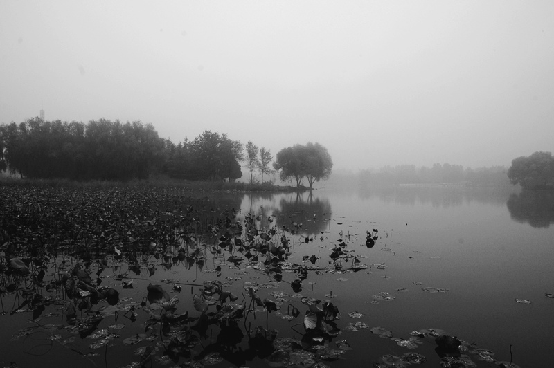 小景