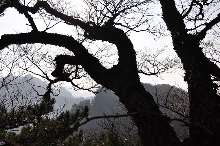 木札岭风光