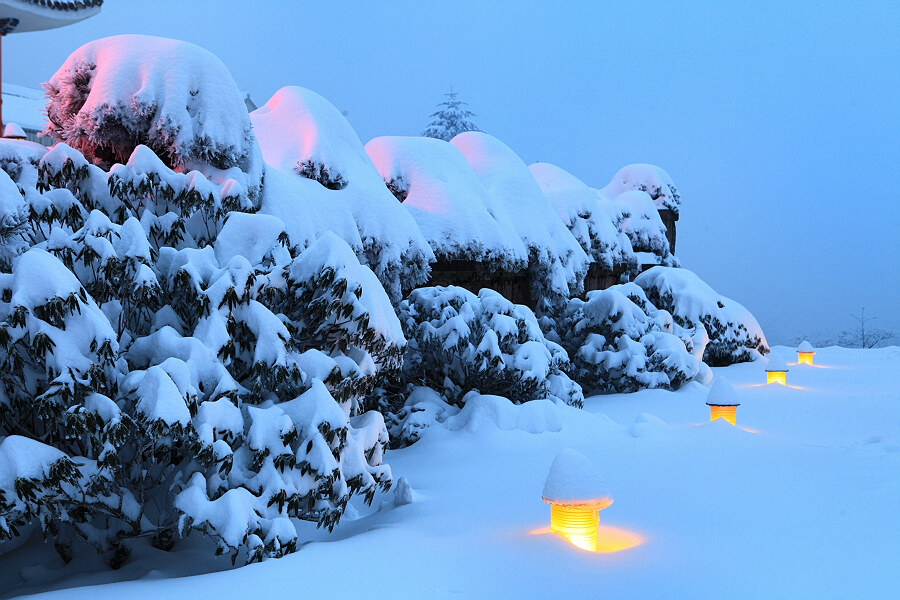 黄山雪